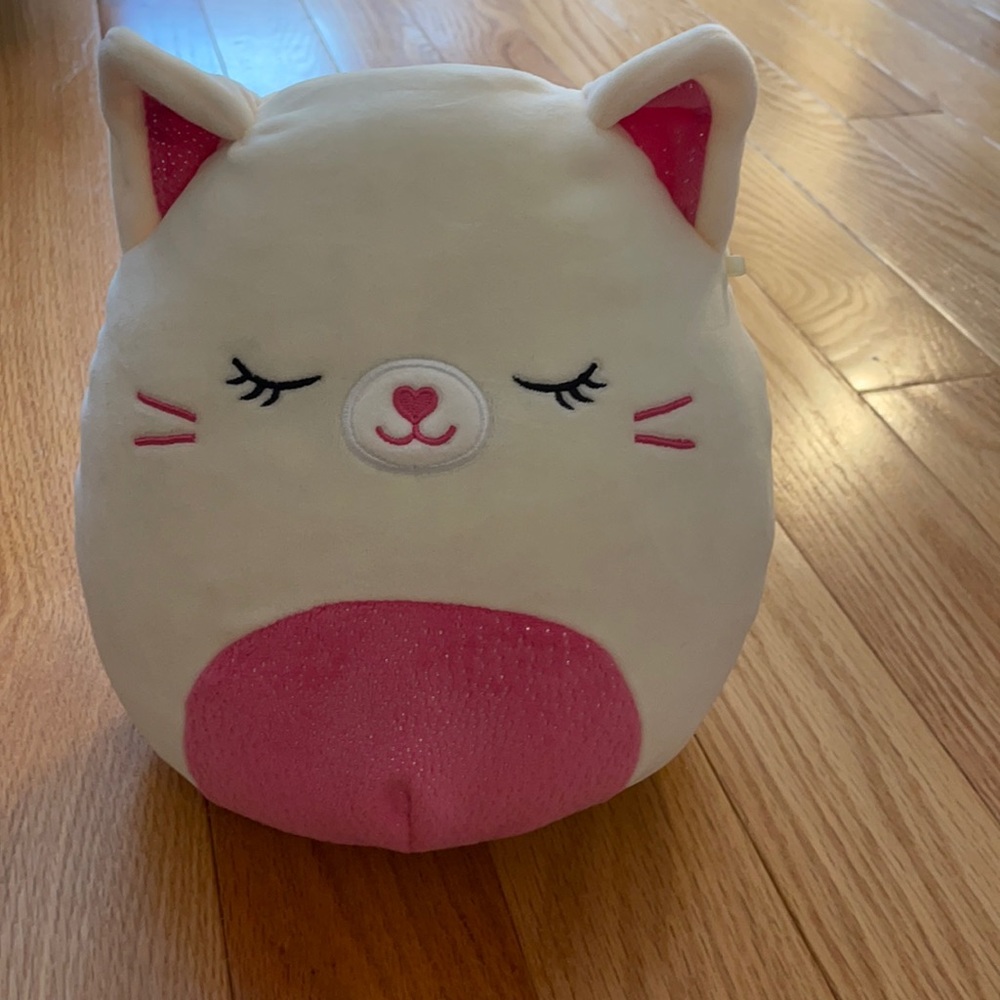 Carmen the cat Squishmallow